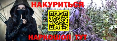 дмт Новодвинск