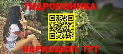 дмт Новодвинск