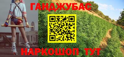 дмт Новодвинск