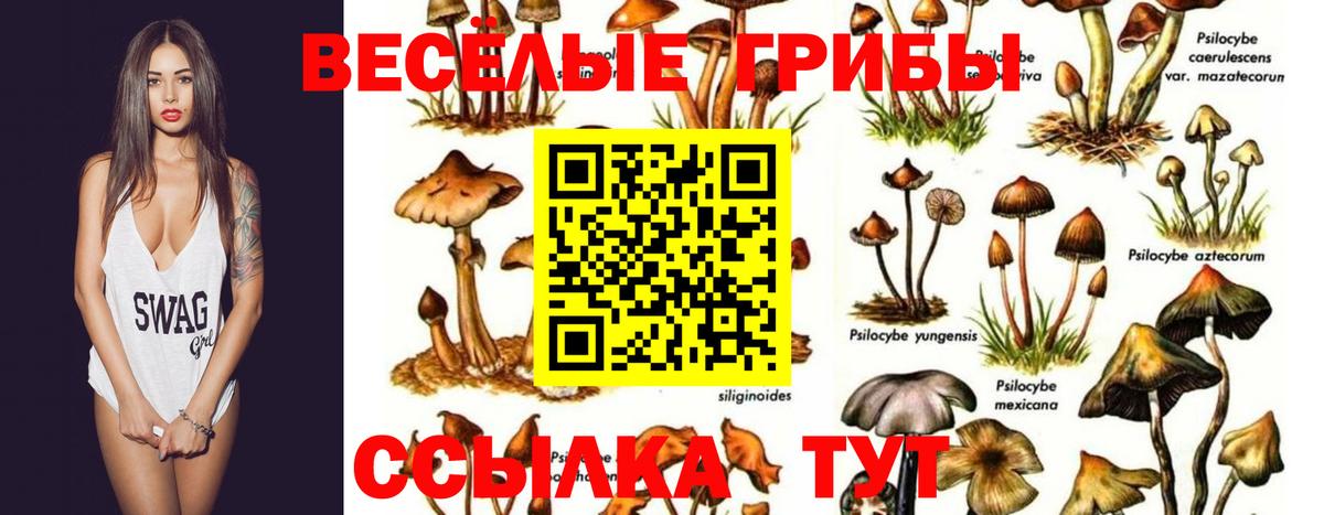 Туймазы  Галлюциногенные грибы ЛСД  Вход с VPN  сколько стоит  Галлюциногенные грибы прущие грибы 